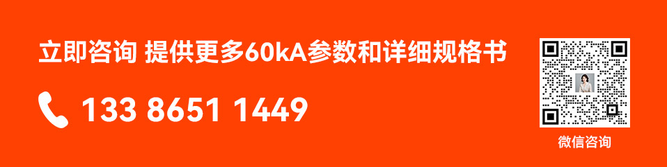 立即咨询 提供更多60kA参数和详细规格书
