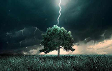 下雨打雷时我们躲在大树底下为什么容易遭受雷击？