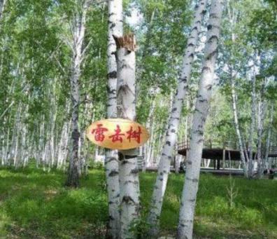 雷对建筑物的危害