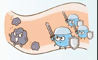 浪涌保护器的作用-清理病毒