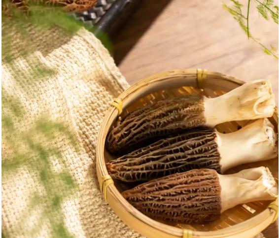 大寒养身-易造防雷 大寒养身-易造防雷