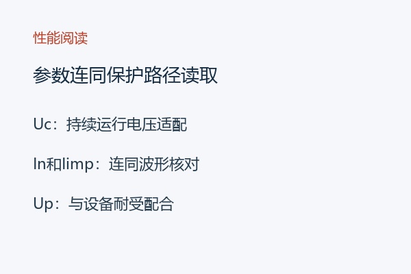 参数连同保护路径读取 参数连同保护路径读取